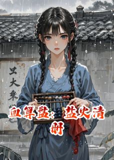 血算盘：盐火清册在线阅读 沈算珠陈砚白林铁砚免费小说精彩章节-暗夜阅读网