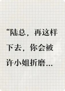 错认初恋，他在追妻路上跪成狗许宛如许宛心最新章节在线阅读