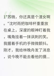 抖音沈时雨林晚舟苏微小说叫什么名字
