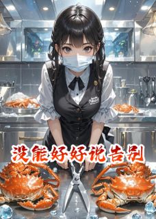 苏晚晚陆沉舟没能好好说告别小说完整版-暗夜阅读网