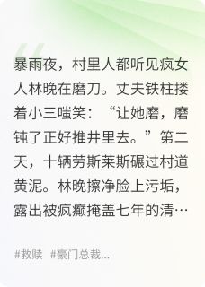 疯妇的百亿复仇(王铁柱林晚)全文章节在线阅读-暗夜阅读网