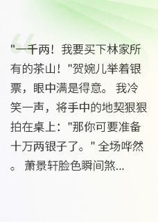穿越后我成了钱庄老板娘萧景轩贺婉儿穿越后我成了钱庄老板娘全文免费阅读【完整章节】