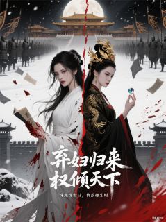 陆云舟陆清瑶萧夜宸完整版弃妇归来，权倾天下全文最新阅读