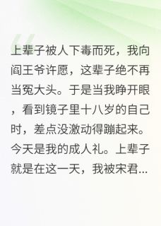 养子偷走了我的人生小说全章节目录阅读BY爱晒太阳的小番茄完结版阅读