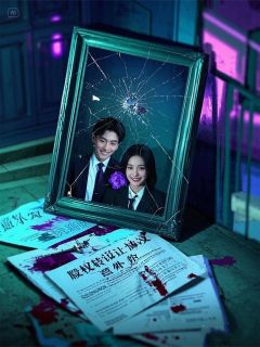 抖音一场婚姻，两条人命，亿万家产小说章节阅读-暗夜阅读网