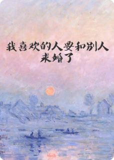 我喜欢的人要和别人求婚了（陆昭宋澜林聿）精彩小说目录阅读