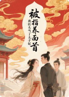 （全本）被指养面首，我转头当了太子妃主角沈文修晚晴东夜全文目录畅读
