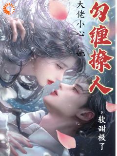 大佬小心，她勾缠撩人，软甜极了大结局阅读 辛美夭霍渊小说在线章节