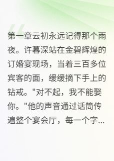 前夫看到我4岁女儿，傻了小说云初许暮深白清音免费阅读