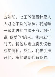 萧景辞沈清婉小说结局