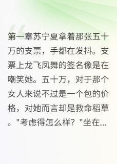 值得熬夜看完的他认出了我这个冒牌老婆小说阅读