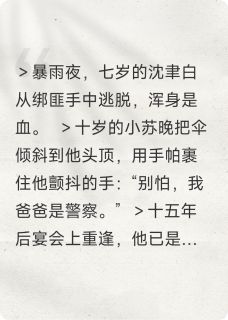 （全集-免费）病娇小狼的失忆恩人完本小说_苏晚沈聿白全文免费阅读-暗夜阅读网