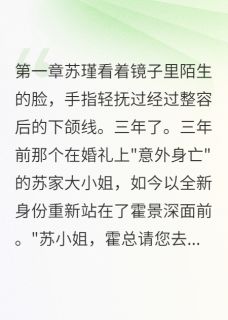 那晚的验孕棒暴露了我的身份免费阅读全文，主角苏瑾霍景深小说完整版-暗夜阅读网