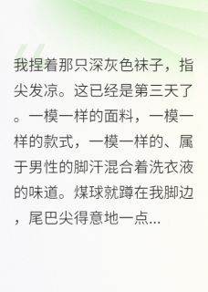 我的猫，好像比我还会谈恋爱免费阅读全文，主角煤球沈砚小说-暗夜阅读网