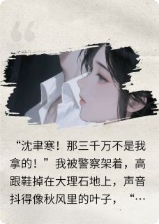 沈聿寒林晚星苏晴章节免费阅读-暗夜阅读网