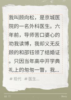 抖音我提离婚，总裁妻子不干了txt小说阅读