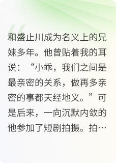 火爆和哥哥分开后我和他小叔领证了小说，主角是盛止川贺祈枭苏袖在线阅读全文无删减