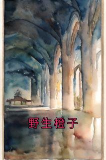 野生橙子小说(完整版)-江驰野橙子章节阅读