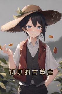 好文热推小说初夏的古董店主角林慕风赵艺冉全文在线阅读