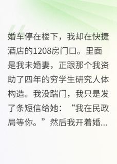 全章节小说结婚当天，我让前任跪求我娶别人天火天火最新阅读