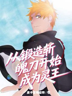 (精品)从锻造斩魄刀开始成为灵王小说