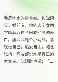 男友去环游世界，我改嫁后他哭了小说-沈砚辞唐菲菲沈泽川全篇阅读