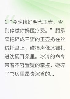 碎痕沈砚顾承枭免费全章节目录阅读