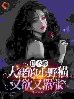苏姜陆晨矅结局是什么 苏姜陆晨矅免费阅读全文