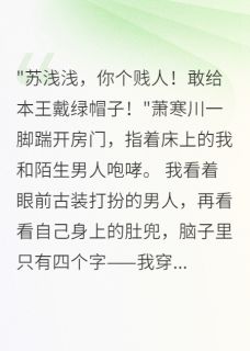 快手热文穿成王爷弃妻后我成了朝堂第一人萧寒川小翠浅浅小说推荐