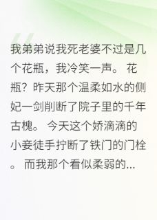 最完整版穿越王爷：我的老婆都是绝世高手热门连载小说