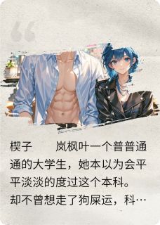 在次元告白章节全目录 岚枫叶江寒全文免费阅读