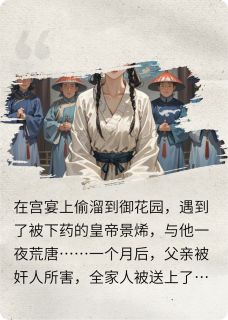 免费完结小说在断头台上，我谎称怀了皇帝的崽景烯付雨婼无弹窗免费阅读-暗夜阅读网