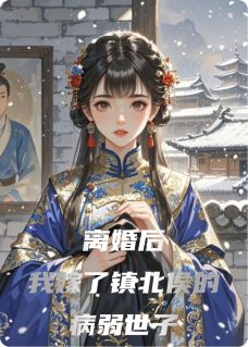 离婚后，我嫁了镇北侯的病弱世子抖音全本小说顾昭珩柳如眉李承鄞抖音免费章节阅读-暗夜阅读网