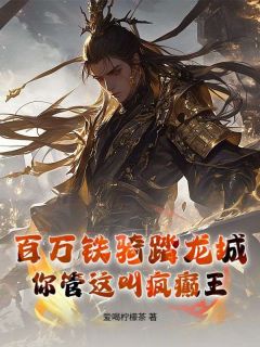 老书虫力荐百万铁骑踏龙城，你管这叫疯癫王？免费无弹窗阅读