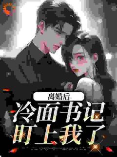 热门小说离婚后，嫁个书记当夫人完整版全文阅读
