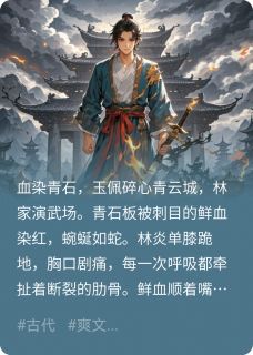 焚天诀，退婚当日，我焚尽八荒[抖音]小说-林炎萧辰无删减阅读-暗夜阅读网
