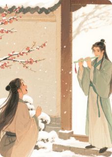 林晚舟沈清寒听雪逢君时小说完整版