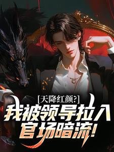 李云涛王为民是哪部小说的主角 天降红颜？我被领导拉入官场暗流！全文无弹窗