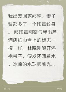林晚陈煜苏雅主角的小说完结版夫人臀上的印章：时间猎人全集