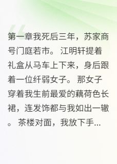 失忆嫁给仇人弟弟后我想起了一切小说的书名是什么
