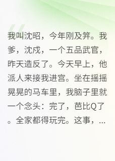 沈琬朝廷沈戍全集小说_全家偷我心声后，我爹造反了完结版阅读-暗夜阅读网