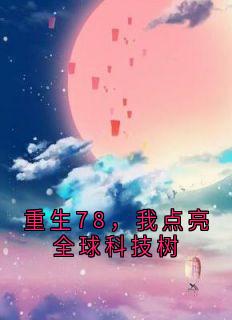 重生78，我点亮全球科技树小说姚和平姚土改免费阅读-暗夜阅读网