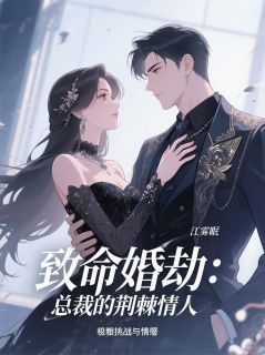 好看的致命婚劫：总裁的荆棘情人小说，主角沈墨苏翎最新章节阅读