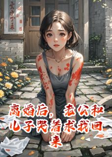 离婚后，老公和儿子哭着求我回来免费小说作者牛肉巧克力包全文阅读-暗夜阅读网