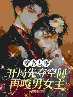 【热文】穿书七零开局先夺空间再嘎男女主主角黎洛屿陆枭小说全集免费阅读-暗夜阅读网
