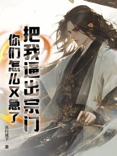 把我逼出宗门，你们怎么又急了？小说(完结)-叶风萧雪云章节阅读