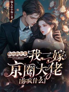 你出轨在先，我二嫁京圈大佬你疯什么无广告阅读 安卉秦巳免费在线阅读
