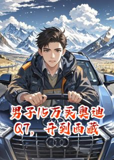 强烈推荐男子15万买奥迪Q7，开到西藏高原林默徐刚在线阅读