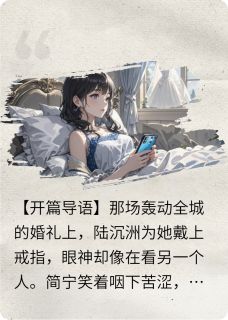 值得熬夜看完的豪门虐恋：陆总的白月光不干了小说阅读-暗夜阅读网