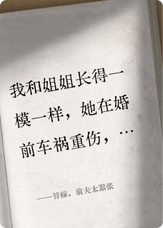 替嫁，前夫太嚣张章节目录小说-张严陈耀胡灵免费阅读全文